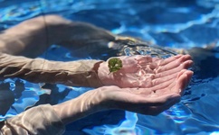 无人区码二码乱码区别在哪